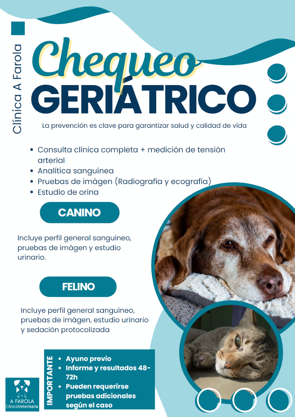 Campaña de higiene dental